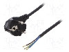 Cablu alimentare AC, 10m, 3 fire, culoare negru, cabluri, CEE 7/7 (E/F) &amp;amp;#351;tecar in unghi, SCHUKO mufa, PLASTROL - W-98438 foto