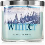 Bath &amp; Body Works The Perfect Winter lum&acirc;nare parfumată 411 g