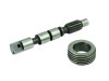 Pompa Ulei Drujba Dolmar 122, OEM 122 245 010, 144 245 011, Taiwan
