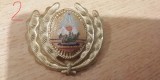QW14 - Emblema militara / cuc - uscat - comunism - piesa de colectie