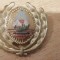 QW14 - Emblema militara / cuc - uscat - comunism - piesa de colectie