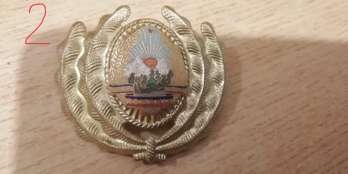 QW14 - Emblema militara / cuc - uscat - comunism - piesa de colectie