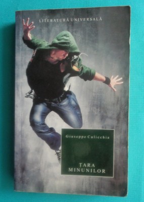 Giuseppe Culicchia &amp;ndash; Tara minunilor foto