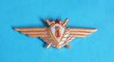 Insigna AVIATIE militara Internationala - Aviator - Pilot - categoria 1a