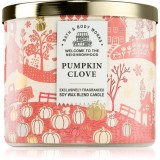 Bath &amp; Body Works Pumpkin Clove lum&acirc;nare parfumată 411 g