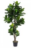 Cumpara ieftin Ficus artificial in ghiveci 153 frunze 190 cm