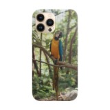 Husa compatibila cu Apple iPhone 14 model Macaw parrot, Silicon, TPU, Viceversa, Transparent, Carcasa