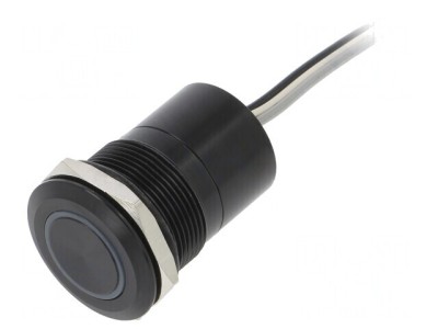 Comutator Capacitiv 2 Pozitii SPST-NO 12V IP68 foto