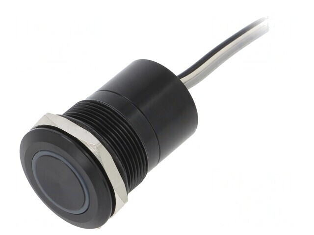 Comutator Capacitiv 2 Pozitii SPST-NO 12V IP68