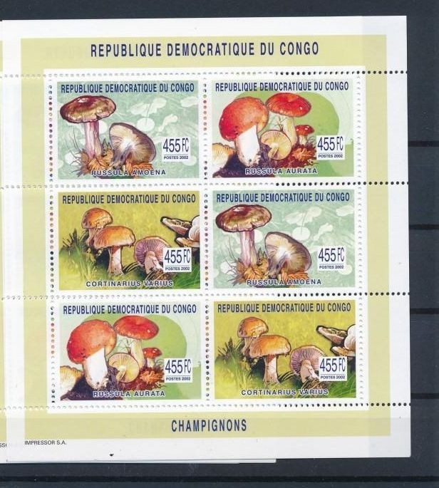 DR CONGO 2003 CIUPERCI