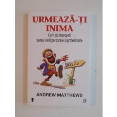 URMEAZA - TI INIMA , CUM SA DESCOPERI SENSUL VIETII PERSONALE SI PROFESIONALE de ANDREW MATTHEWS , 2013
