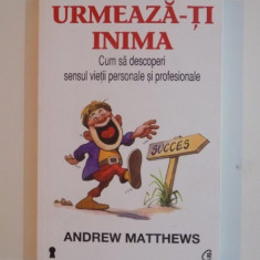 URMEAZA - TI INIMA , CUM SA DESCOPERI SENSUL VIETII PERSONALE SI PROFESIONALE de ANDREW MATTHEWS , 2013