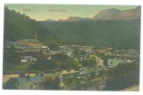 5673 - AZUGA, Prahova, Panorama, Romania - old postcard - unused