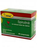 SPIRULINA 500MG CU EXTRACT DE CATINA CT*40CPR HOFIGAL