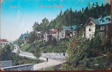 Carte postala, Sinaia, strada Lasca Catargiu, perioada interbelica