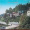 Carte postala, Sinaia, strada Lasca Catargiu, perioada interbelica