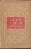 bnk ant Salom Alehem - Opere alese
