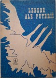 Lebede ale puterii - Dusan Petrovici, Roman Beletristica