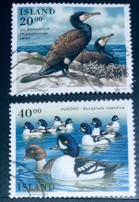 Islanda 1996 rațe, păsări fauna serie 2v stampilata foto