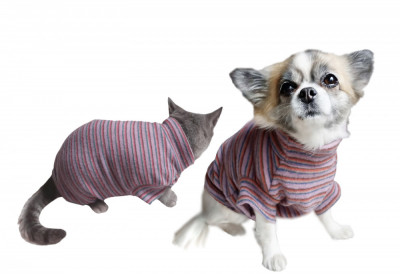 Pulover pentru caini si pisici Petas lila stripe, marimi XS,S,M,L,XL foto