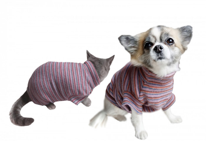 Pulover pentru caini si pisici Petas lila stripe, marimi XS,S,M,L,XL