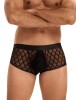 Eross boxeri Diamond Style S Black