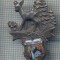 AX 262 INSIGNA - TURISM MONTAN -DRUMETIE MONTANA -CHARLOTTENHOHLE -PESTERA