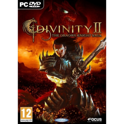 Joc Divinity II The Dragon Knight Saga PC foto