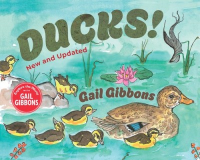 Ducks! (New &amp;amp; Updated) foto