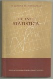 Ce este statistica M. Biji, I. Stoichita