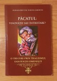 Pacatul: vinovatie sau intristare de Arhim. Dr. Theofil Lemontzi