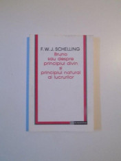 BRUNO SAU DESPRE PRINCIPIUL DIVIN SI PRINCIPIUL NATURAL AL LUCRURILOR de F.W.J. SCHELLING , 1995 foto