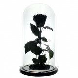 Cumpara ieftin Trandafir Criogenat XL negru &Oslash;6,5cm, cupola sticla 12x25cm