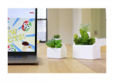 Cumpara ieftin Mini ghiveci - Cozy Cottage Planter | Kikkerland