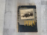 Pictorul Petrov de G.Gor,V.Petrov