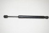 Amortizor haion dreapta AUDI A4 8EC, B7 2005 OEM: 8E5827552 2121112