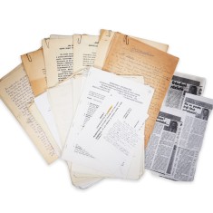 Ion Lucian, arhivă de documente și reproduceri fotografice