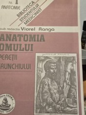 ANATOMIA OMULUI, PERETII TRUNCHIULUI de VIOREL RANGA