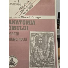 ANATOMIA OMULUI, PERETII TRUNCHIULUI de VIOREL RANGA