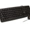 KIT Tastatura si Mouse Spacer SPDS-S6201 cu fir, USB, tastatura