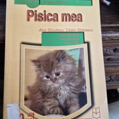 Pisica mea - Alice Badulescu