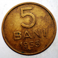 7.298 ROMANIA RPR 5 BANI 1955