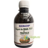 Sirop din Muguri de Brad, Muguri de Plop si Propolis pentru Diabetici 200ml