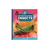 Investigating Insects: All the Buggy Facts