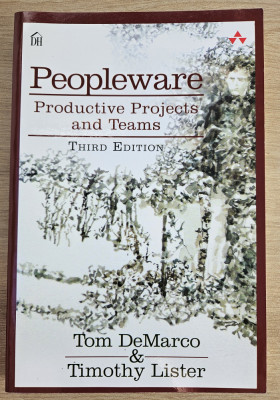 Peopleware: Productive Projects and Teams foto