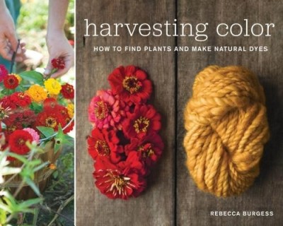 Harvesting Color: How to Find Plants and Make Natural Dyes foto