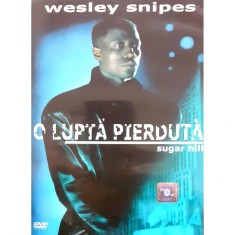 DVD O Lupta Pierduta foto