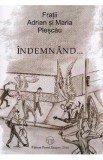 Indemnand... - Fratii Adrian si Maria Plescau