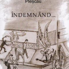 Indemnand... - Fratii Adrian si Maria Plescau