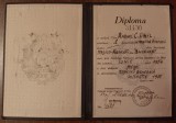 QW13 1 18 - 1955 - Diploma absolvire - Facultatea de medicina generala - medic